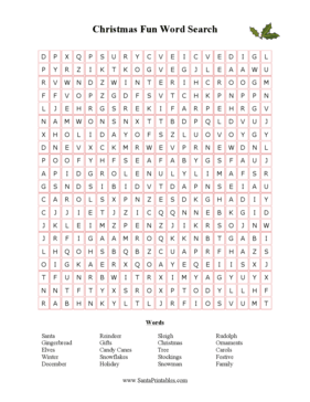 Christmas Fun Word Search